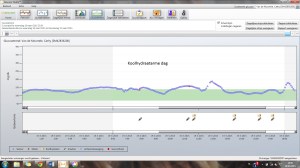 koolhydraatarme dag Harriet Verkoelen