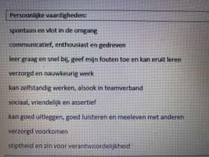 persoonlijke vaardigheden
